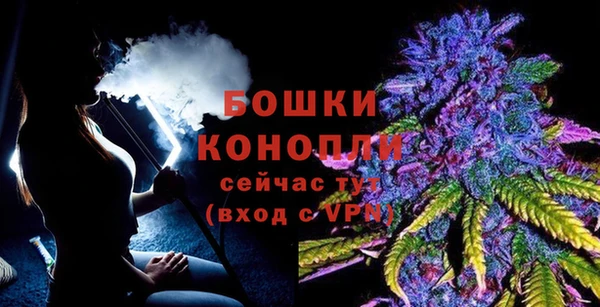 винт Нея