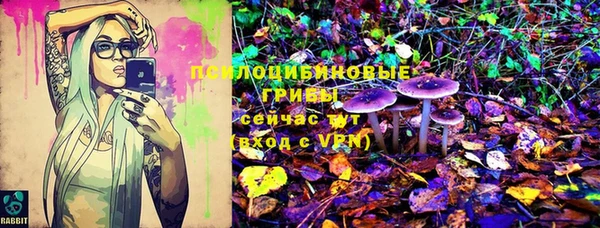 винт Нея