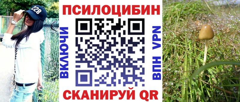 Купить закладки  Королёв  Псилоцибиновые грибы Magic Shrooms 